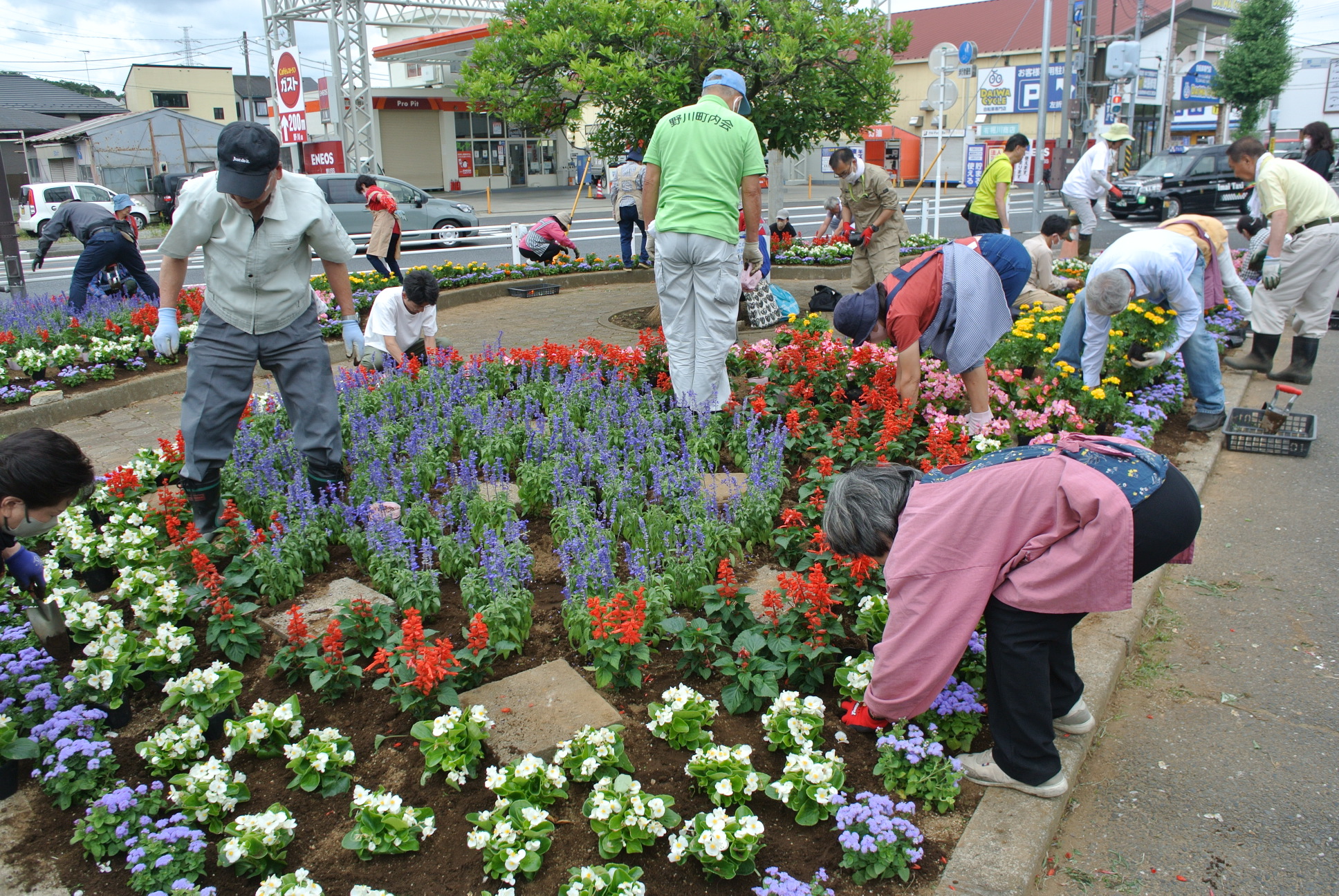 花壇の花植え風景