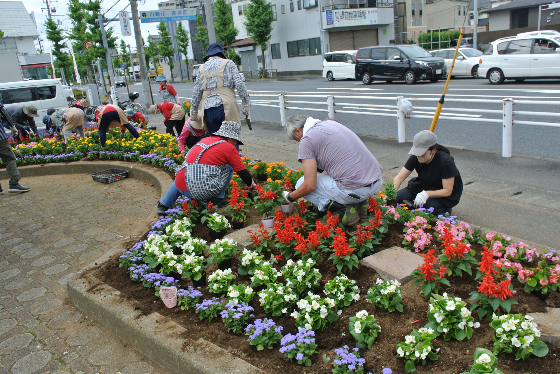 「野川交差点」の花壇の花植えの様子2